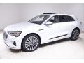 Glacier White Metallic 2019 Audi e-tron Prestige quattro Exterior