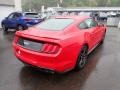 2019 Race Red Ford Mustang GT Premium Fastback  photo #2