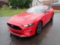 2019 Race Red Ford Mustang GT Premium Fastback  photo #6
