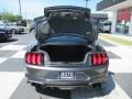 Magnetic - Mustang GT Fastback Photo No. 5