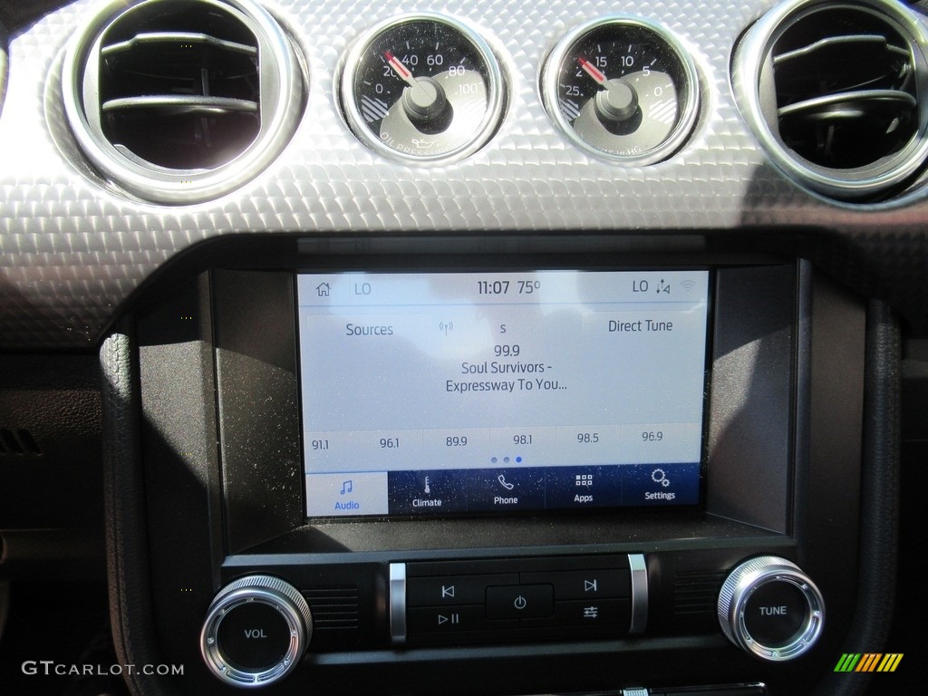 2020 Mustang GT Fastback - Magnetic / Ebony photo #17