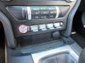 Magnetic - Mustang GT Fastback Photo No. 18