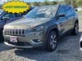 Olive Green Pearl - Cherokee Limited 4x4 Photo No. 1