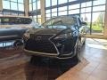 Obsidian - RX 350L AWD Photo No. 1