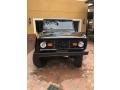 Raven Black - Bronco Restomod 4x4 Photo No. 3