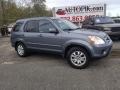 Pewter Pearl 2005 Honda CR-V Special Edition 4WD