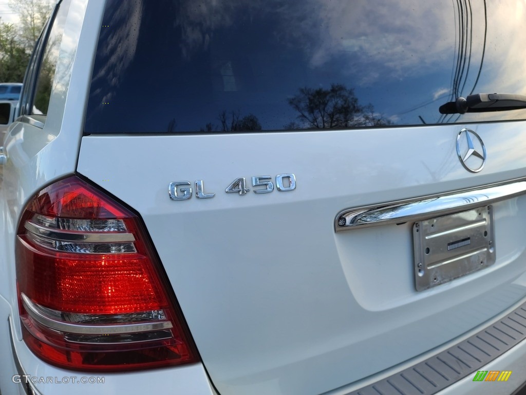 2009 GL 450 4Matic - Arctic White / Cashmere photo #9