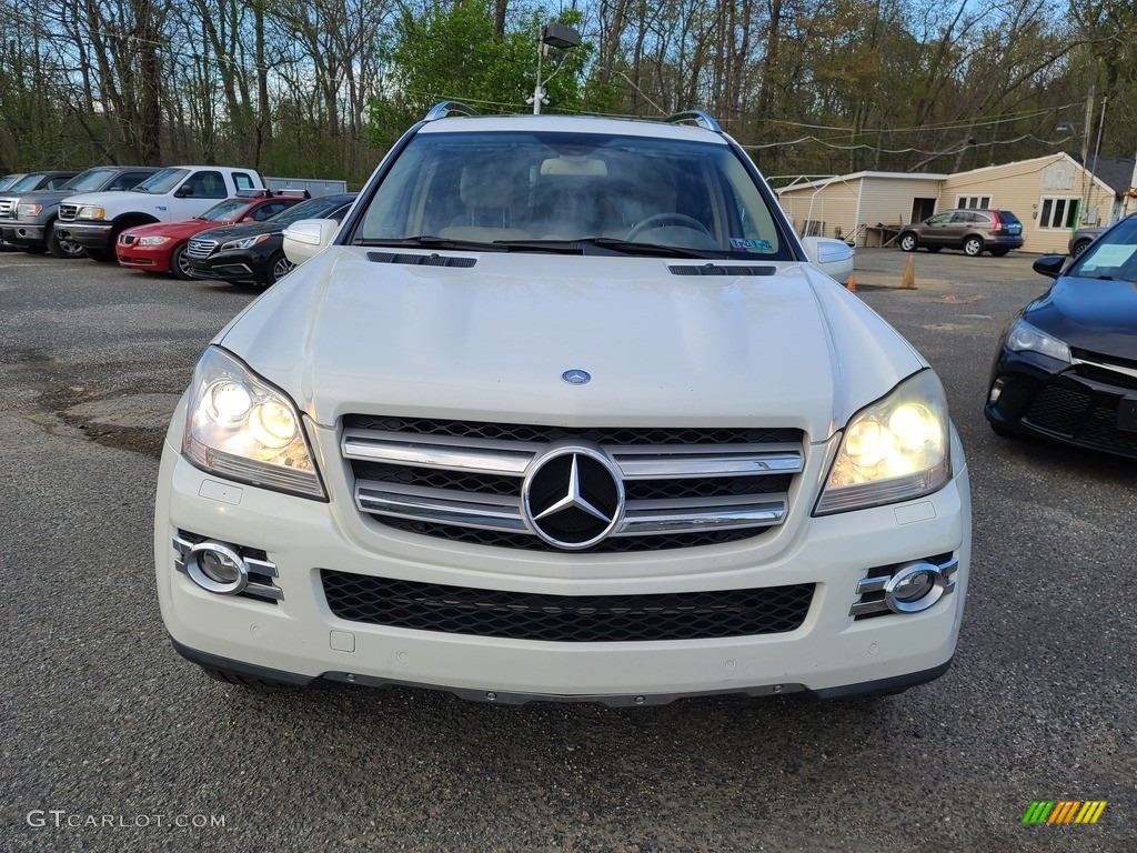2009 GL 450 4Matic - Arctic White / Cashmere photo #12