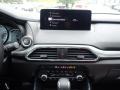 Polymetal Gray - CX-9 Carbon Edition AWD Photo No. 13