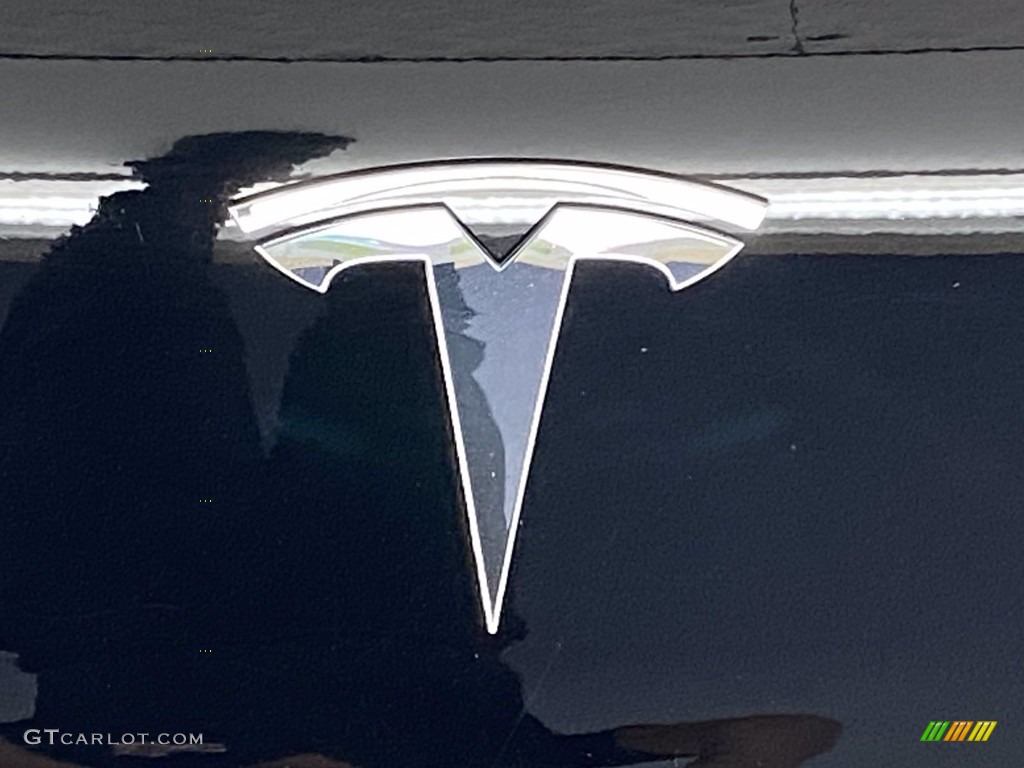 2020 Tesla Model 3 Standard Range Marks and Logos Photo #141873856
