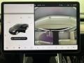 Black Controls Photo for 2020 Tesla Model 3 #141874106