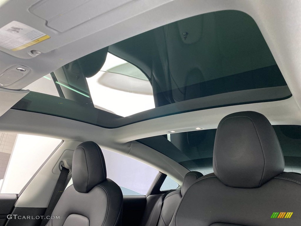 2020 Tesla Model 3 Standard Range Sunroof Photo #141874189