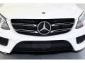 Polar White - GLE 350 Photo No. 30