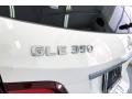 Polar White - GLE 350 Photo No. 31