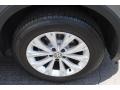 Platinum Gray Metallic - Tiguan SE Photo No. 11
