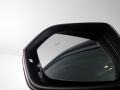 Deep Black Pearl - Atlas SE 4Motion Photo No. 46