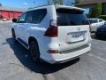 Starfire Pearl - GX 460 Luxury Photo No. 8