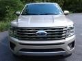 2018 White Gold Ford Expedition XLT 4x4  photo #4