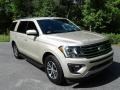 2018 White Gold Ford Expedition XLT 4x4  photo #5