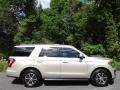 2018 White Gold Ford Expedition XLT 4x4  photo #6