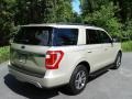 2018 White Gold Ford Expedition XLT 4x4  photo #7
