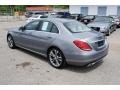 Palladium Silver Metallic - C 300 Sedan Photo No. 3