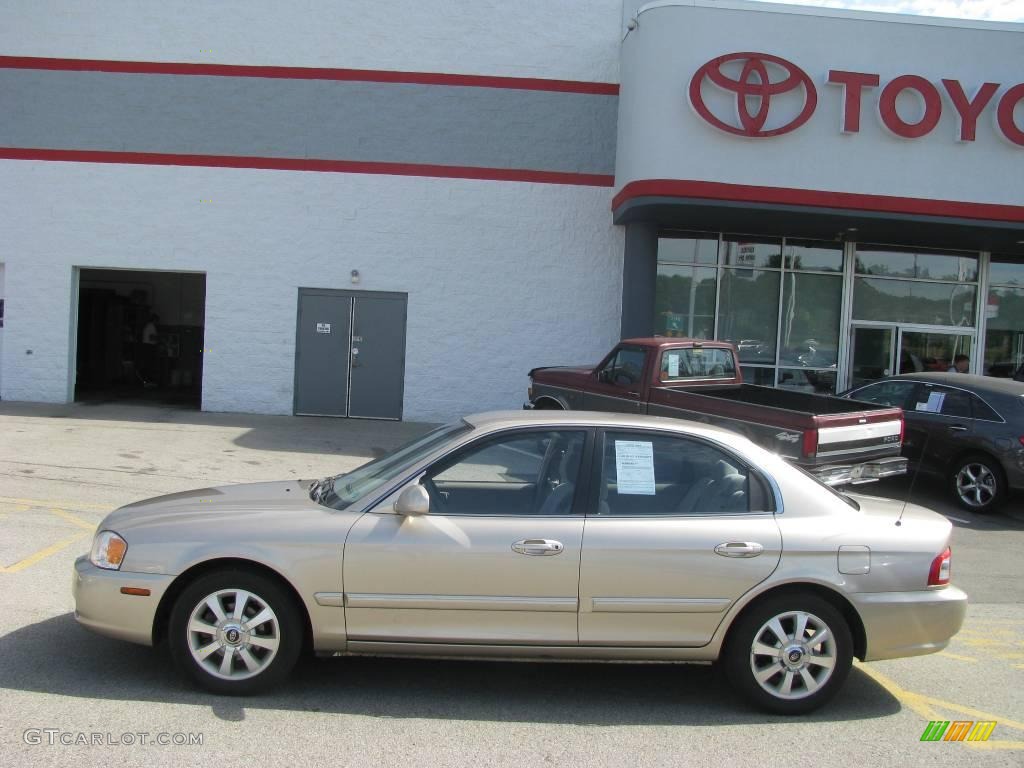 2004 Optima LX V6 - Cream Gold / Beige photo #2