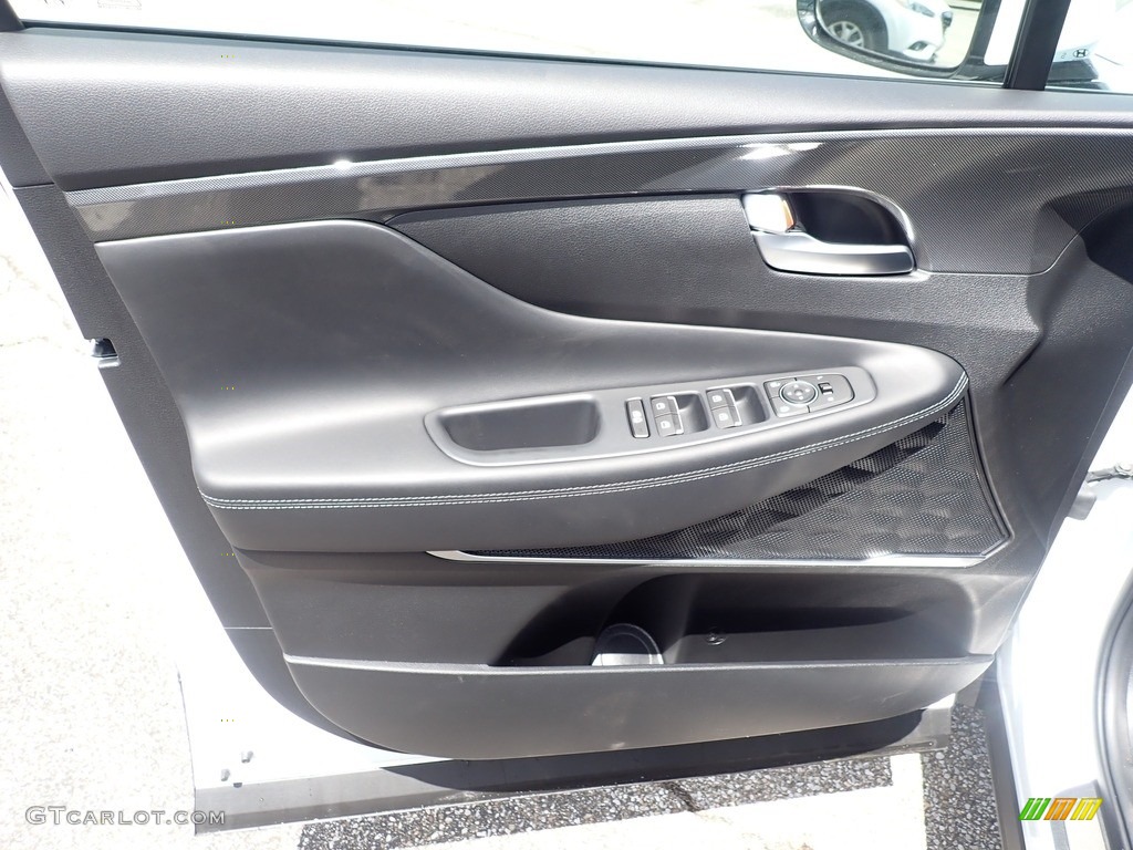 2021 Hyundai Santa Fe SEL AWD Black Door Panel Photo #141927111