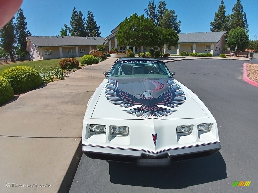 1980 Firebird Turbo Trans Am - Cameo White / Oyster/Gray photo #1