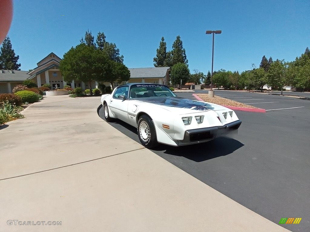 1980 Firebird Turbo Trans Am - Cameo White / Oyster/Gray photo #2