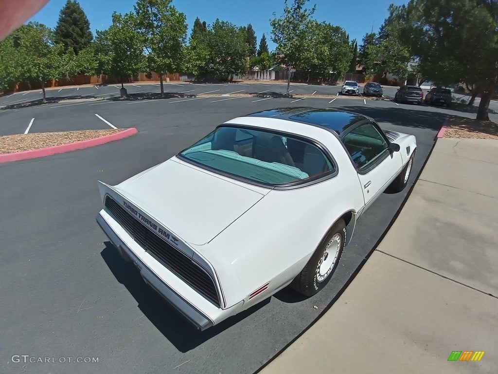 1980 Firebird Turbo Trans Am - Cameo White / Oyster/Gray photo #4