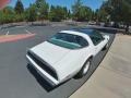 1980 Cameo White Pontiac Firebird Turbo Trans Am  photo #4