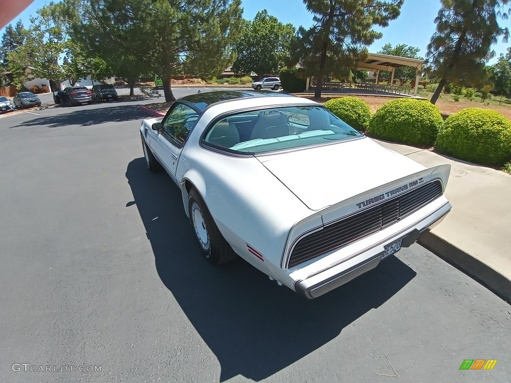 1980 Firebird Turbo Trans Am - Cameo White / Oyster/Gray photo #6