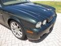 Botanical Green - XJ XJ8 Photo No. 40