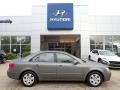 2010 Willow Gray Hyundai Sonata GLS #141921204