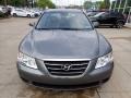 Willow Gray - Sonata GLS Photo No. 7