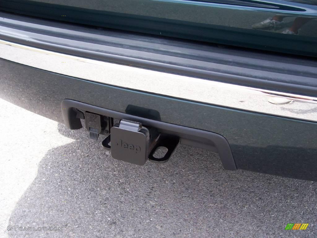 2005 Grand Cherokee Limited 4x4 - Deep Beryl Green Pearl / Dark Khaki/Light Graystone photo #8