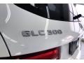 Polar White - GLC 300 Photo No. 31