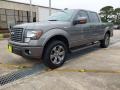 Sterling Gray Metallic - F150 FX2 SuperCrew Photo No. 2