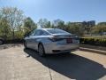 Silver Lining Metallic - ES 300h Photo No. 4