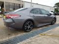 2019 Predawn Gray Mica Toyota Camry SE  photo #3