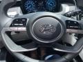 2022 Hyundai Tucson Gray Interior Steering Wheel Photo