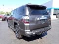 Magnetic Gray Metallic - 4Runner Limited 4x4 Photo No. 5
