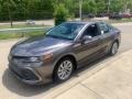 Predawn Gray Mica - Camry LE AWD Photo No. 18
