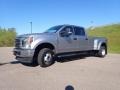 Iconic Silver - F350 Super Duty XLT Crew Cab 4x4 Photo No. 8