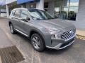 2021 Hampton Gray Hyundai Santa Fe SEL AWD  photo #1