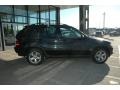 2006 Black Sapphire Metallic BMW X5 3.0i  photo #9