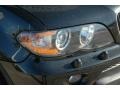 2006 Black Sapphire Metallic BMW X5 3.0i  photo #10