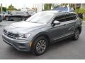 Platinum Gray Metallic - Tiguan SE Photo No. 4