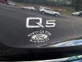 Scuba Blue Metallic - Q5 2.0 TFSI Premium Plus quattro Photo No. 29